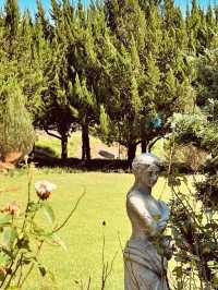 Finding Peace: A Serene Escape in the Juniper Woods