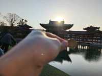 10 yen eternal splendor: Unveiling the Byodo In temple in plain sight