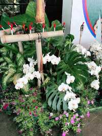 “Senandung Spring Raya At KLIA” 
