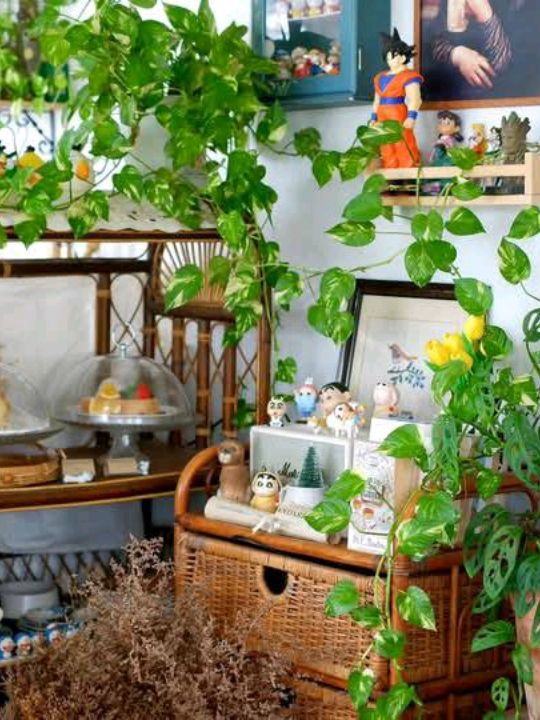 PLOY's Home Cafe