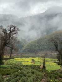 Misty Morning in Lu Village: A Painting Come to Life