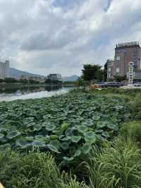 🏞️ 양평에서 보내는 1박2일 힐링 여행! (숨겨진 사진명소까지!)