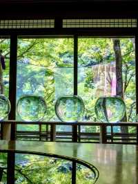 こちらは関西を満喫するための6つのルートです！