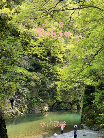東京×奥多摩】青もみじと新緑の絶景と川のせせらぎ | Trip.com 奥多摩