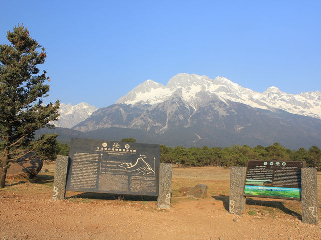 Chasing Golden Dawn: A Frozen Morning at Gan Haizi Before Jade Dragon Snow Mountain