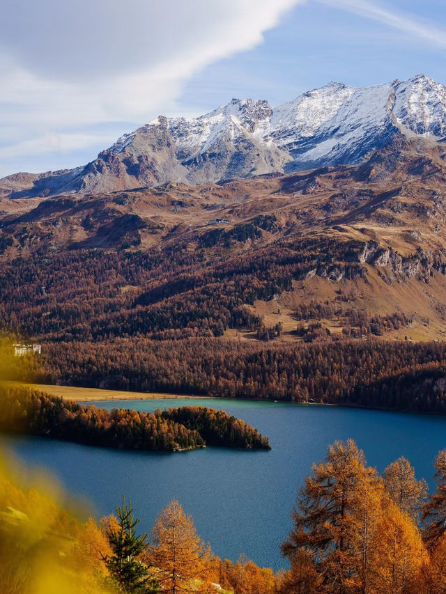 🇨🇭スイスに来てゴールデンパスラインに乗らなかったら…本当に悲しい！