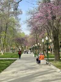 Park V Tashkent - A hidden Gem