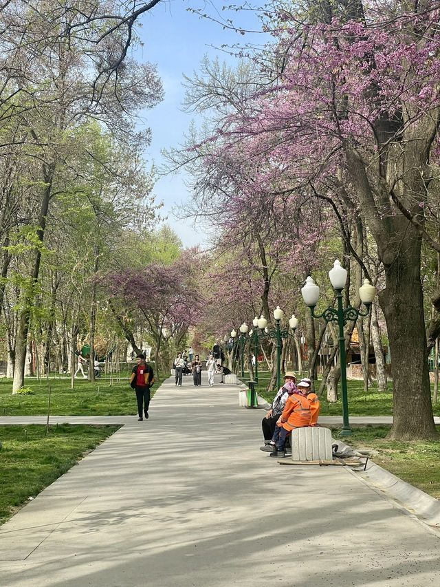 Park V Tashkent - A hidden Gem