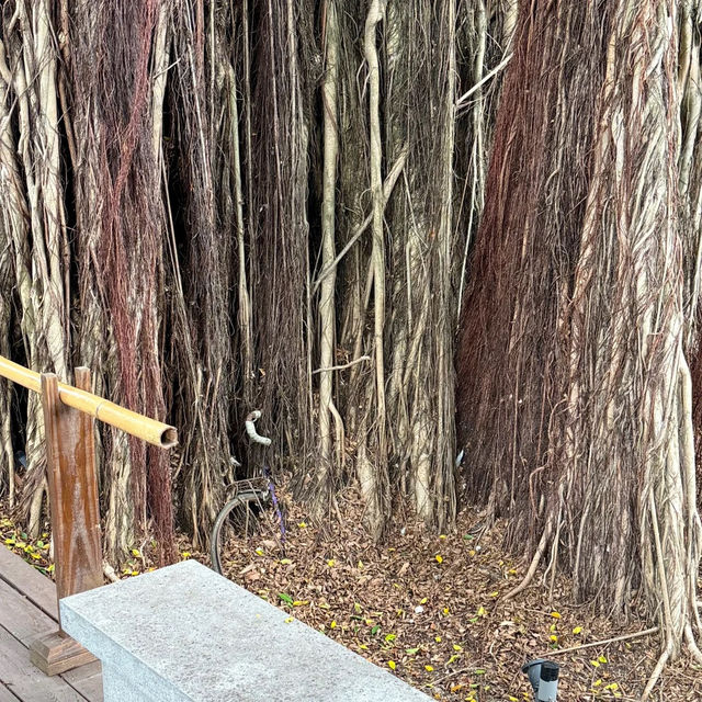 台中文學館