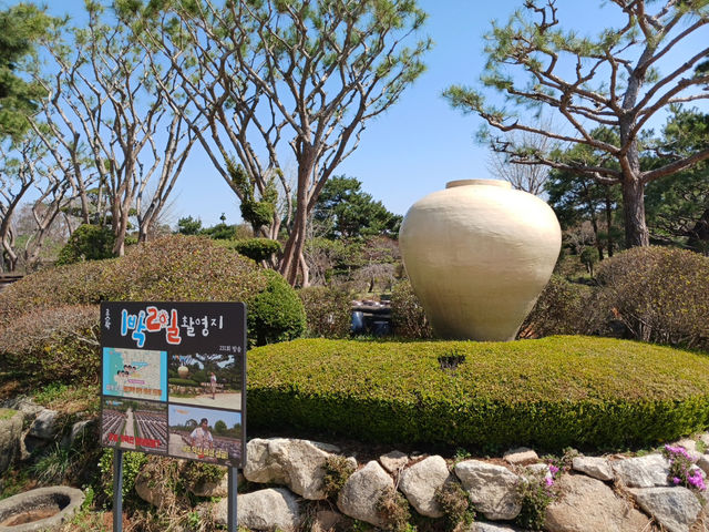 고스락 이화동산, 5,000개의 항아리가 살아 숨 쉬는 공간