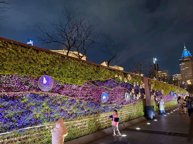 美麗的上海外灘夜景