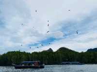 Unforgettable Adventures in stunning Langkawi