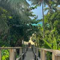 20 ที่เที่ยวภูเก็ตช่วงซัมเมอร์ 🌴🥥