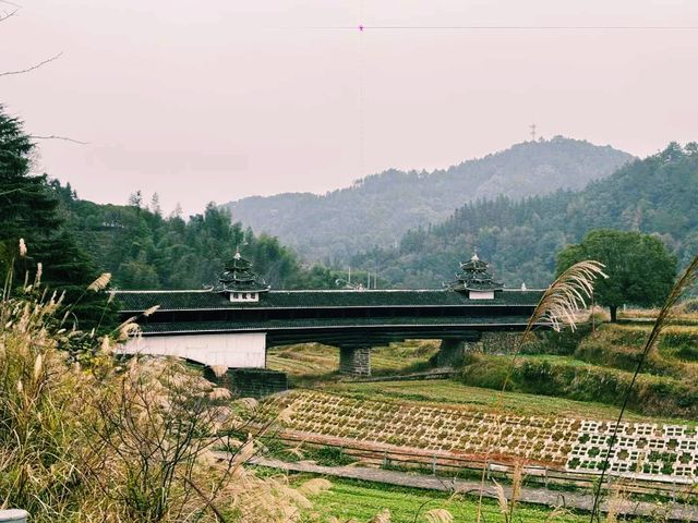 中国湖南著名景点：橫嶺古侗寨，适合打卡拍照📸