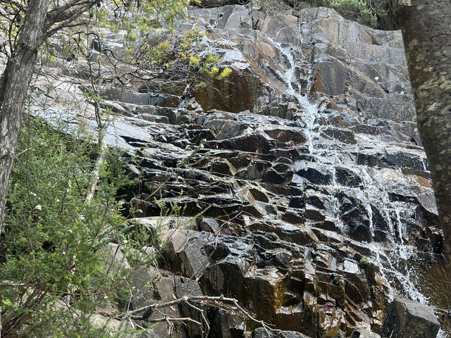 壯麗景色＋Zig Zag 探險 — 威靈頓山 Mount Wellington 一日遊體驗