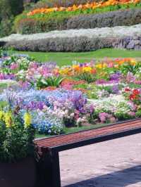 Shanghai Chenshan Botanical Garden– A World of Plants Under One Sky