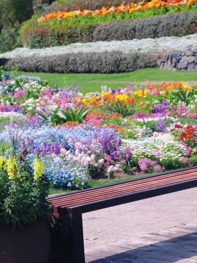 Shanghai Chenshan Botanical Garden– A World of Plants Under One Sky