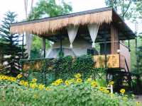 The Forest Camp เขาใหญ่
