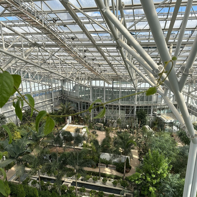 【セジョン】🇰🇷 国立セジョン樹木園
