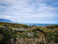 Pancake Rocks Blowholes – A Must-Visit Spot on NZ’s West Coast⛰️