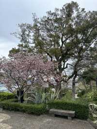 Nagasaki views