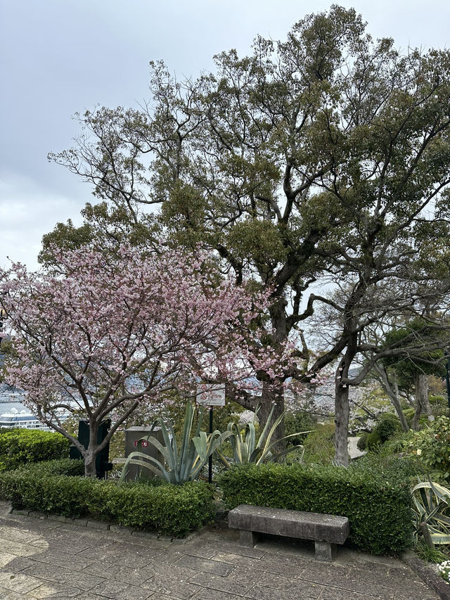 Nagasaki views