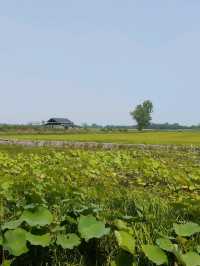 ร้านก๋วยเตี๋ยวเรือบรรยากาศดีในจังหวัดสุพรรณบุรี