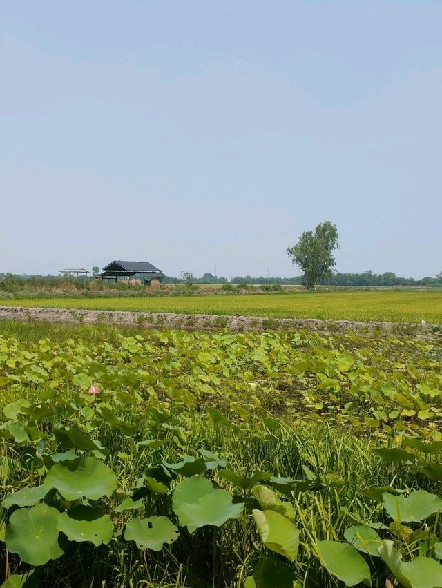ร้านก๋วยเตี๋ยวเรือบรรยากาศดีในจังหวัดสุพรรณบุรี