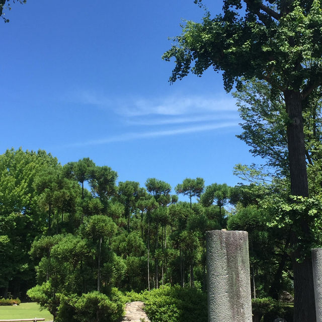 走進二条城，穿越回幕府時代的歷史現場