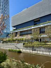 Spring Stroll at Oshinari Park – Cherry Blossoms & Skytree Views