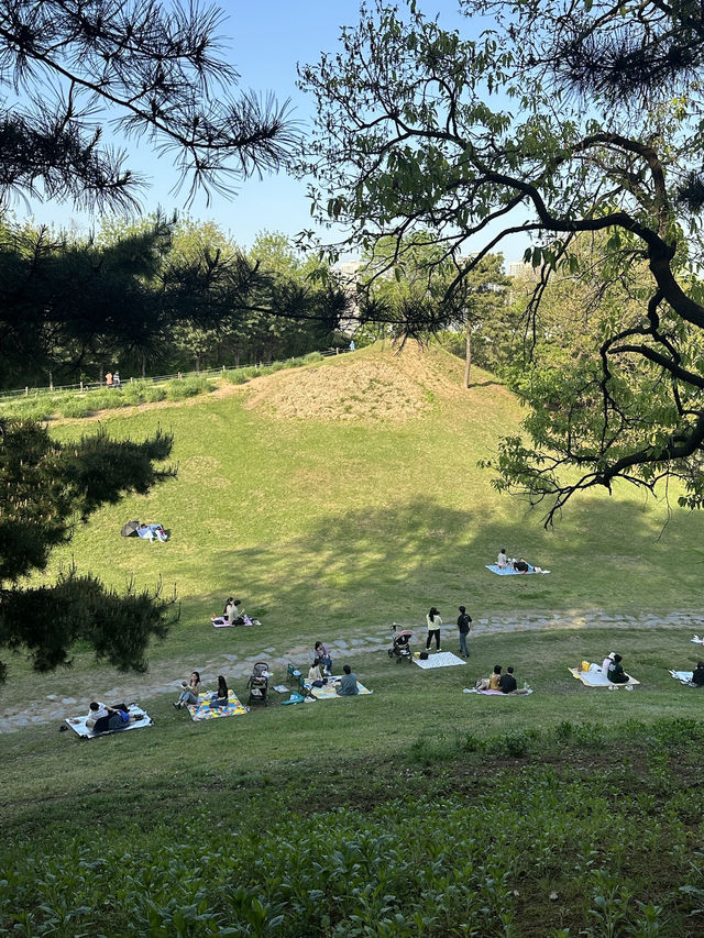 드넓은 초록이 반겨주는 올림픽공원🌳🛼