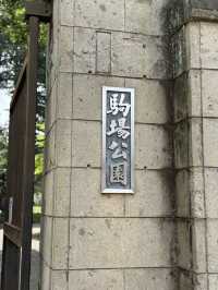 A Quiet Spring Walk at Komaba Park