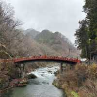 冬の日光で自然満喫