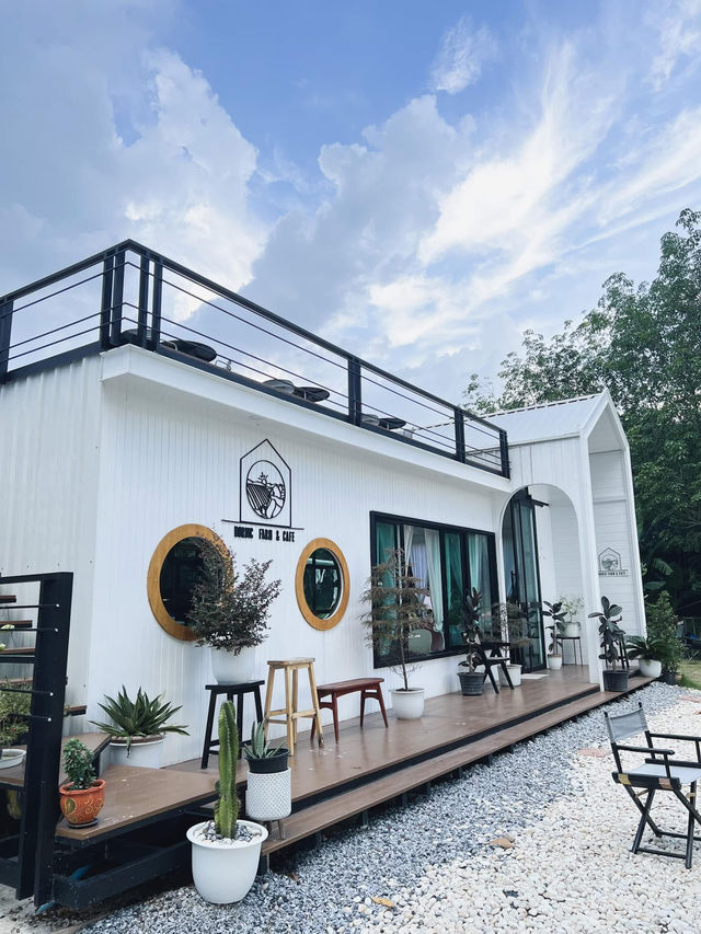 Nordic farm&cafe 🍵🍵