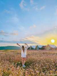 THE CAMP VILLE DALAT 