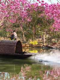 “Blossoms in the South: A Tropical Take on Spring in Guangdong”