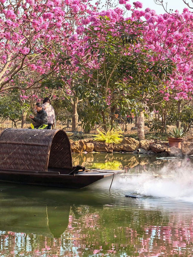 “Blossoms in the South: A Tropical Take on Spring in Guangdong”