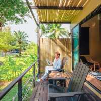 The Mangrove by Blu Monkey 