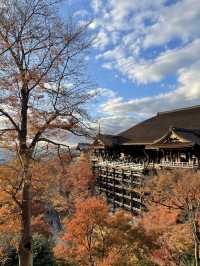 京都を代表する秋の名所「清水寺」へ