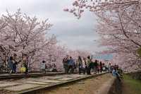 🚂🌸 Keage Incline: Kyoto’s Most Instagram-Worthy Abandoned Railway! 🌸🚂