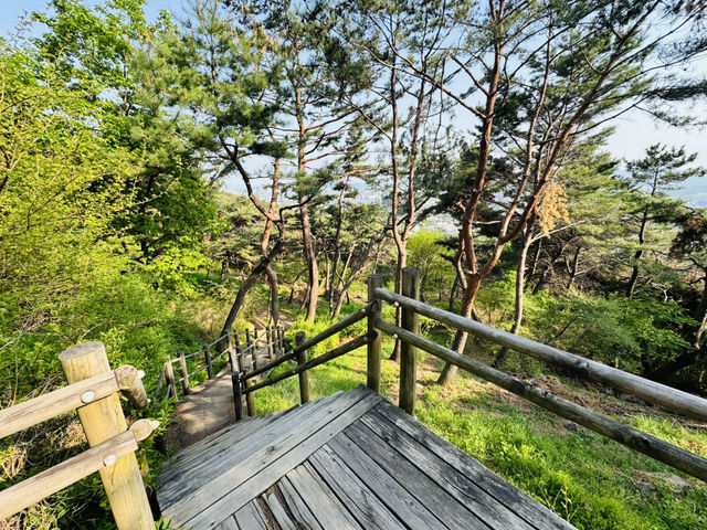 Namsan Vibes: Hike, Snap, Explore!