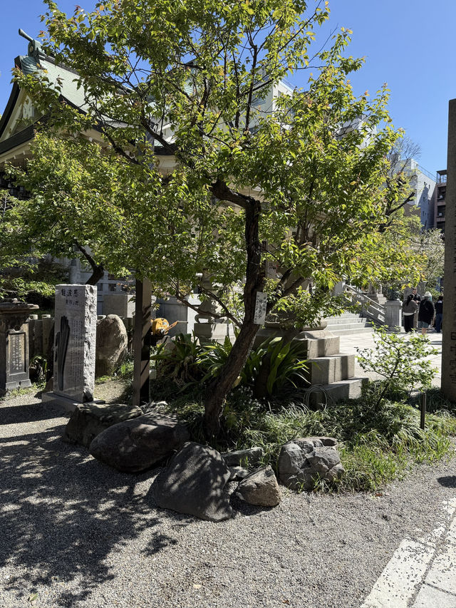 ศาลเจ้านัมบะ ยาซากะ (Namba Yasaka Shrine)