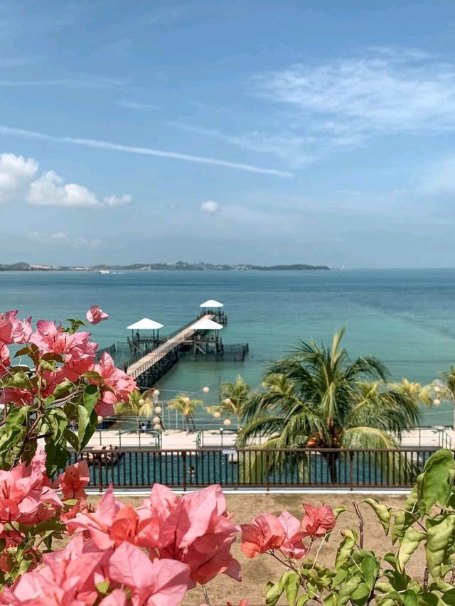 🌺 Escape to Elegance: Montigo Resorts Nongsa Uncovered! 🏖️