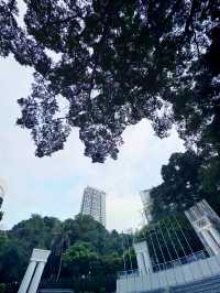 香港｜紅棉路婚姻登記處