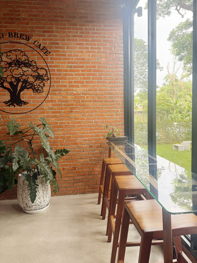 Morning Brew Cafe