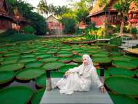 มาดูบัว คาเฟ่ - ภูเก็ต