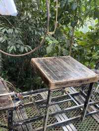 Coffee Zipline in Pakse, excited experience 