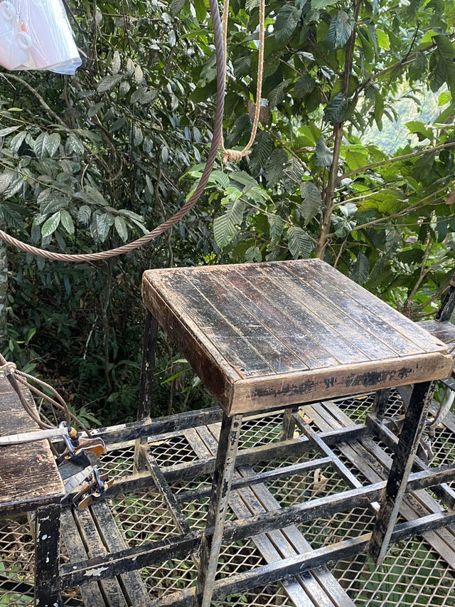 Coffee Zipline in Pakse, excited experience 
