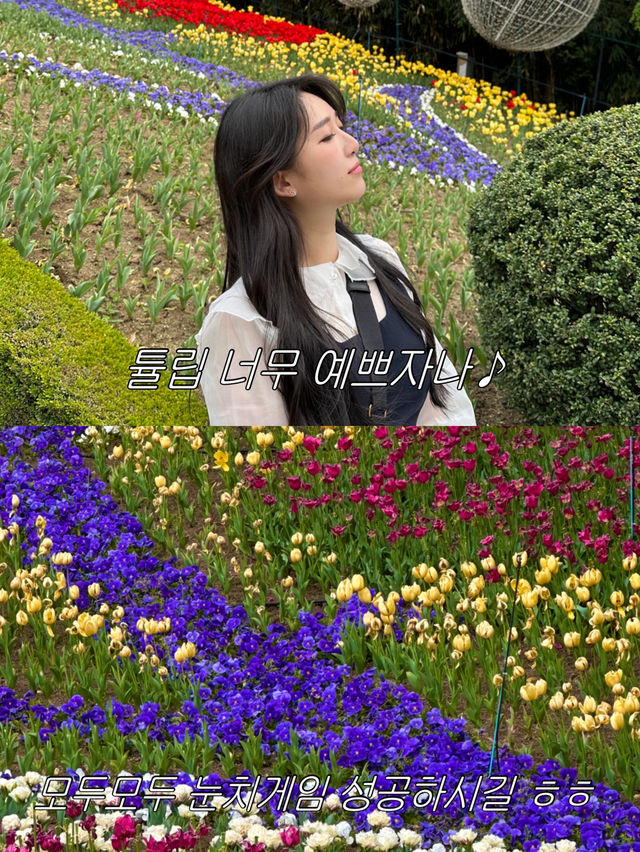 튤립 가득한 대구 핫플