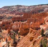 Hoodoos at Sunrise Point – Bryce Canyon NP, UT